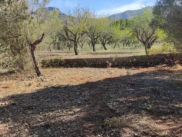 Terreno en Alcalalí