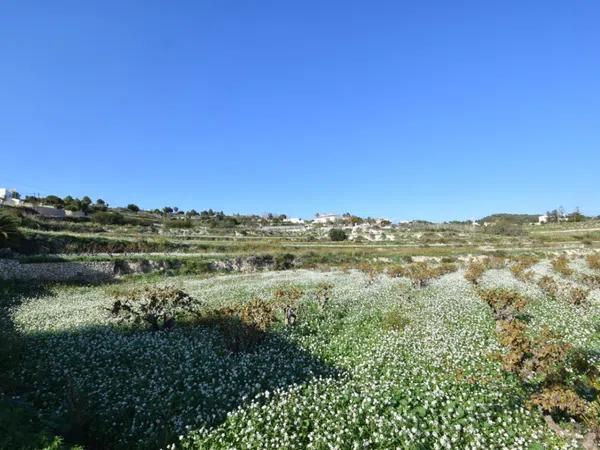 Terreno en Teulada