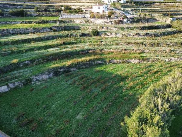 Terreno en Teulada