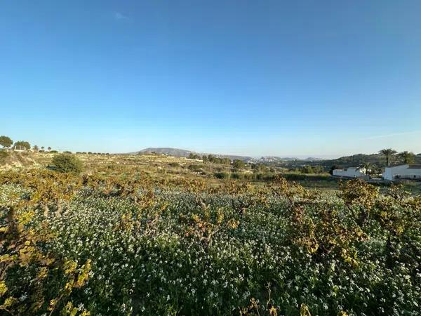 Terreno en Teulada