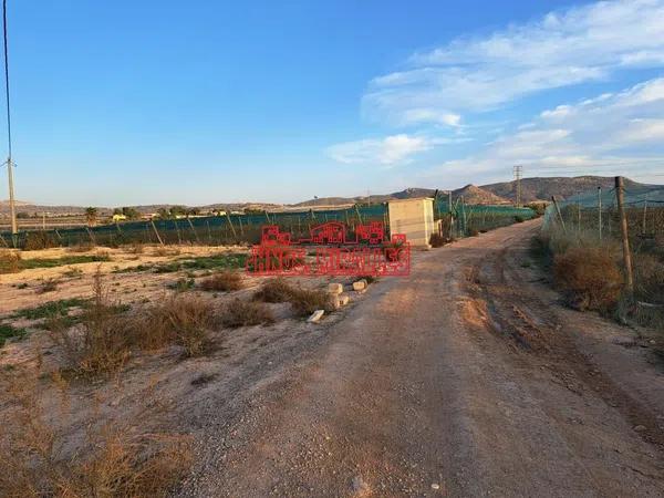 Terreno en Monforte del Cid