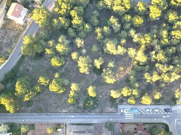 Terreno en calle Cézanne