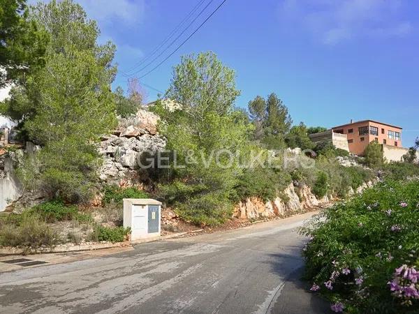 Terreno en calle Cassandra