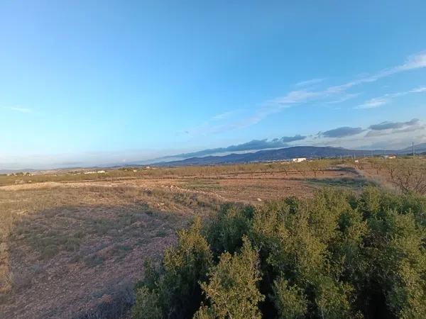 Terreno en Pinoso