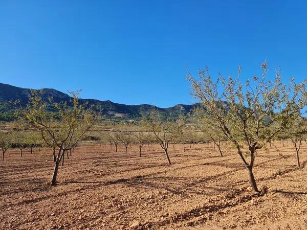 Terreno en La Romana