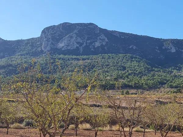 Terreno en La Romana