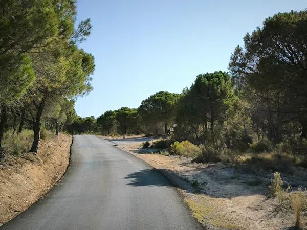 Terreno en camino de las Conejeras, 23 Poligonoparcela