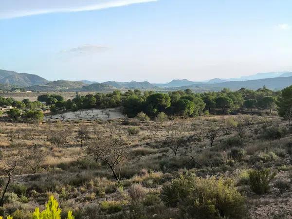 Terreno en camino de las Conejeras, 23 Poligonoparcela