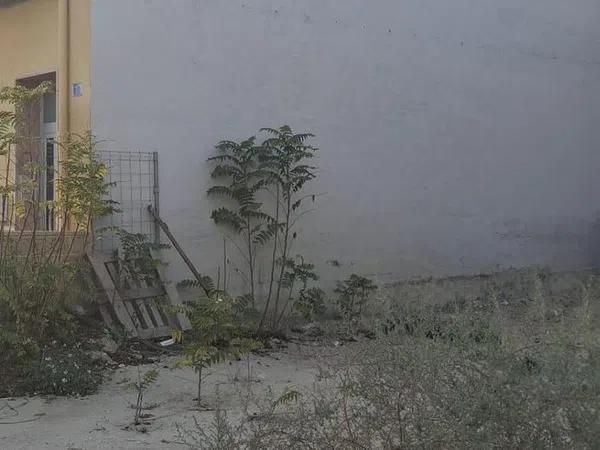 Terreno en El Secanet - Hacienda del Sol