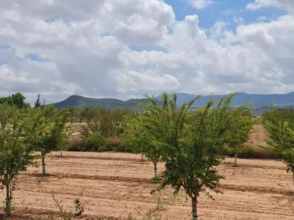 Terreno en Pinoso