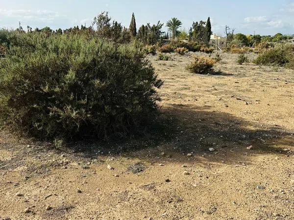 Terreno en plaza Castella s/n