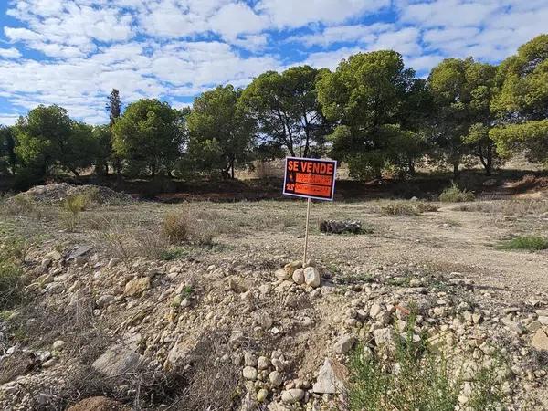 Terreno en calle Profit, 1