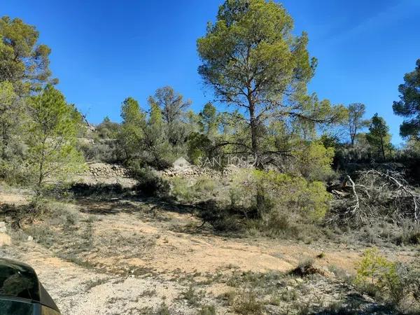 Terreno en La Romana