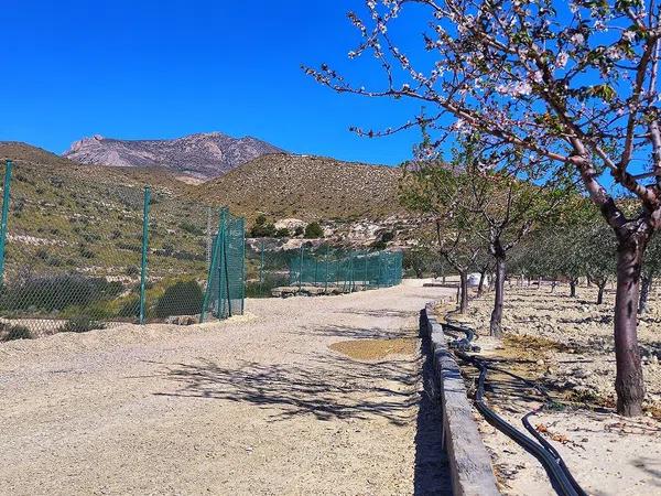 Terreno en Paraje Ballestera s/n