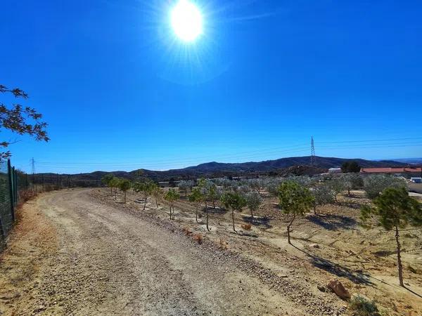 Terreno en Paraje Ballestera s/n