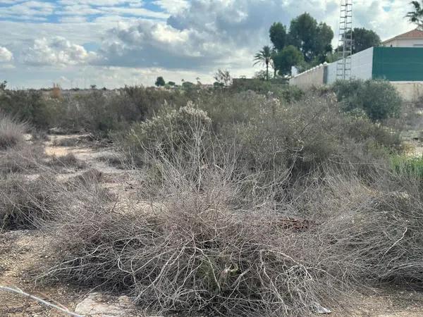 Terreno en La Marina