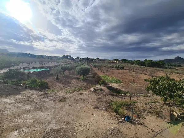 Terreno en plaza Poligono 4