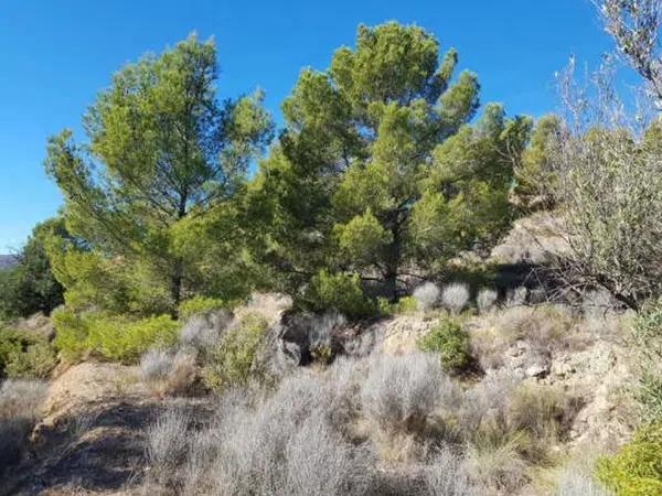 Terreno en Finestrat Pueblo