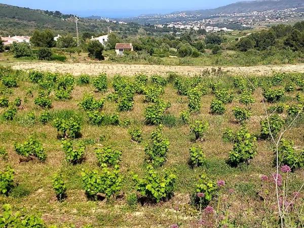 Terreno en Desconocido