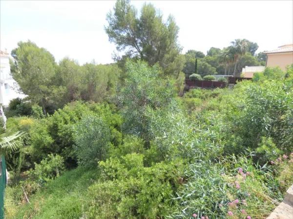 Terreno en La Pedrera-Vessanes