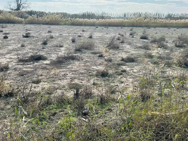 Terreno en La Marina