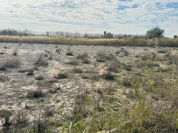 Terreno en La Marina