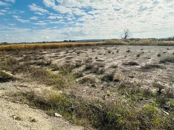 Terreno en La Marina