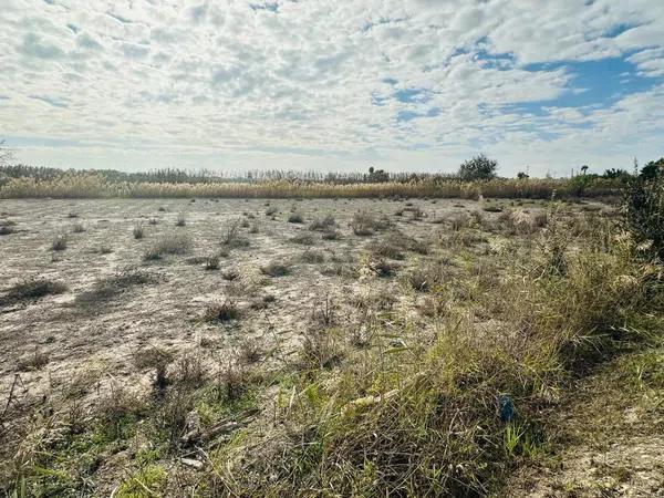 Terreno en La Marina