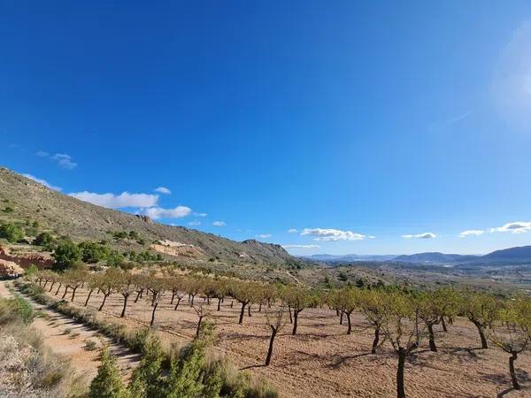 Terreno en La Romana