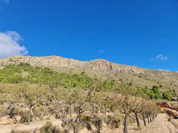 Terreno en La Romana