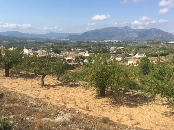 Terreno en camino de l'Ermita, km 4