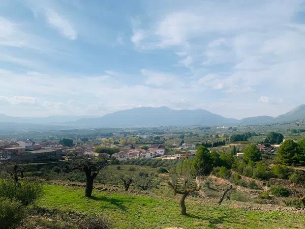 Terreno en camino de l'Ermita, km 4