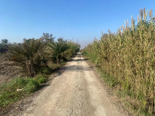 Terreno en Tamarit - Playa Lissa