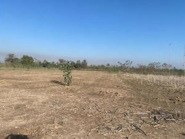 Terreno en Tamarit - Playa Lissa