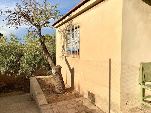 Terreno en Cañada del Fenollar