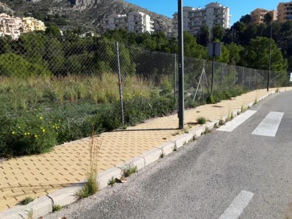 Terreno en Centro Ciudad