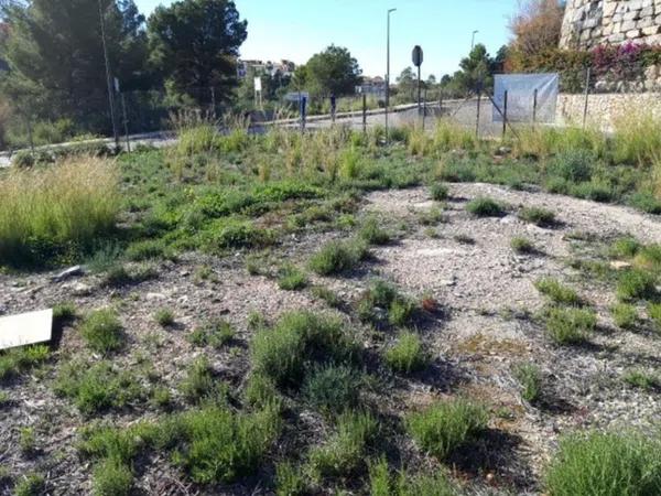 Terreno en Centro Ciudad