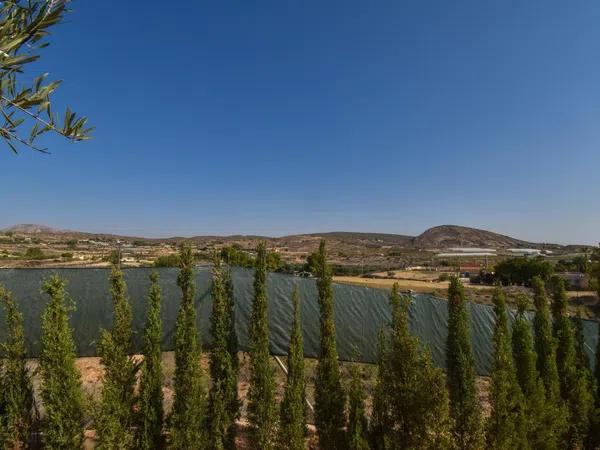 Terreno en alto Partida Torrellano