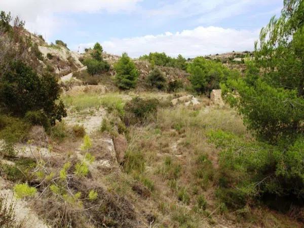 Terreno en Partida Llenes