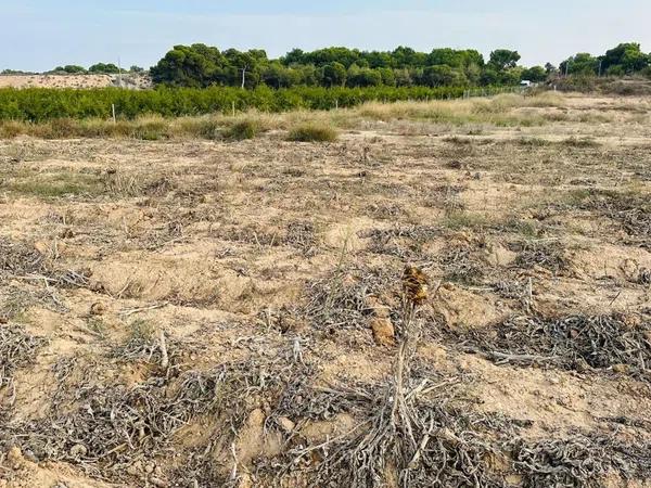 Terreno en La Marina