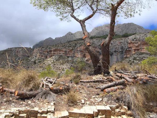 Terreno en Altea la Vella