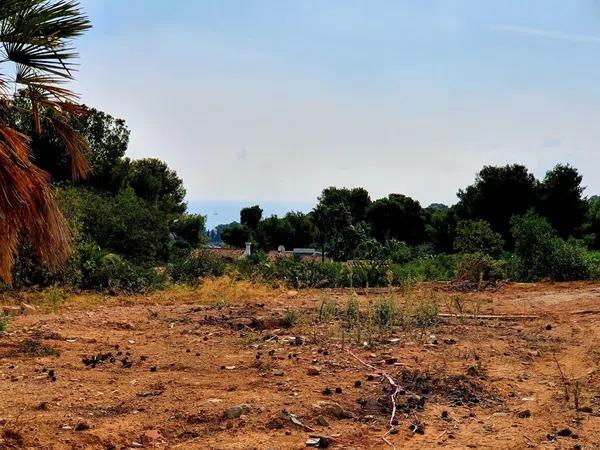 Terreno en calle Bagdad