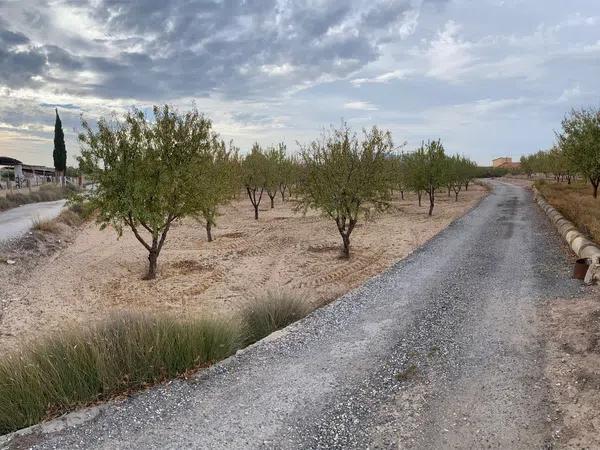 Terreno en carretera Cv-820 s/n