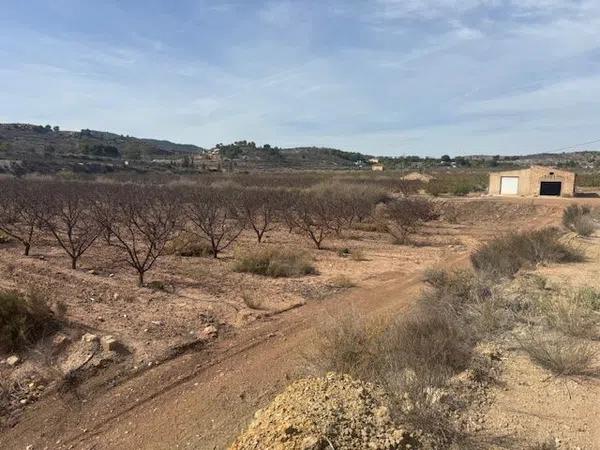 Terreno en camino de la Pedrera, 1