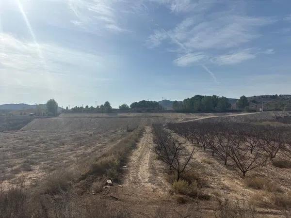 Terreno en camino de la Pedrera, 1