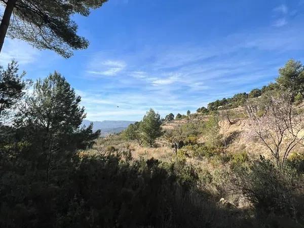 Terreno en Torremanzanas