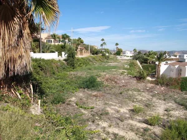 Terreno en Pinar de Advocat-Cometa