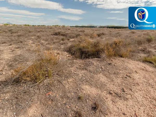 Terreno en Los Girasoles