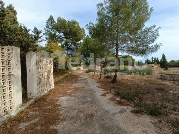 Terreno en Pueblo Levante