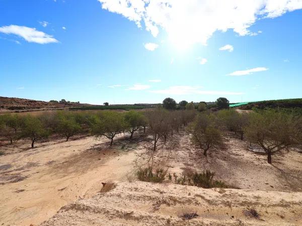 Terreno en Desamparados-Hurchillo-Torremendo